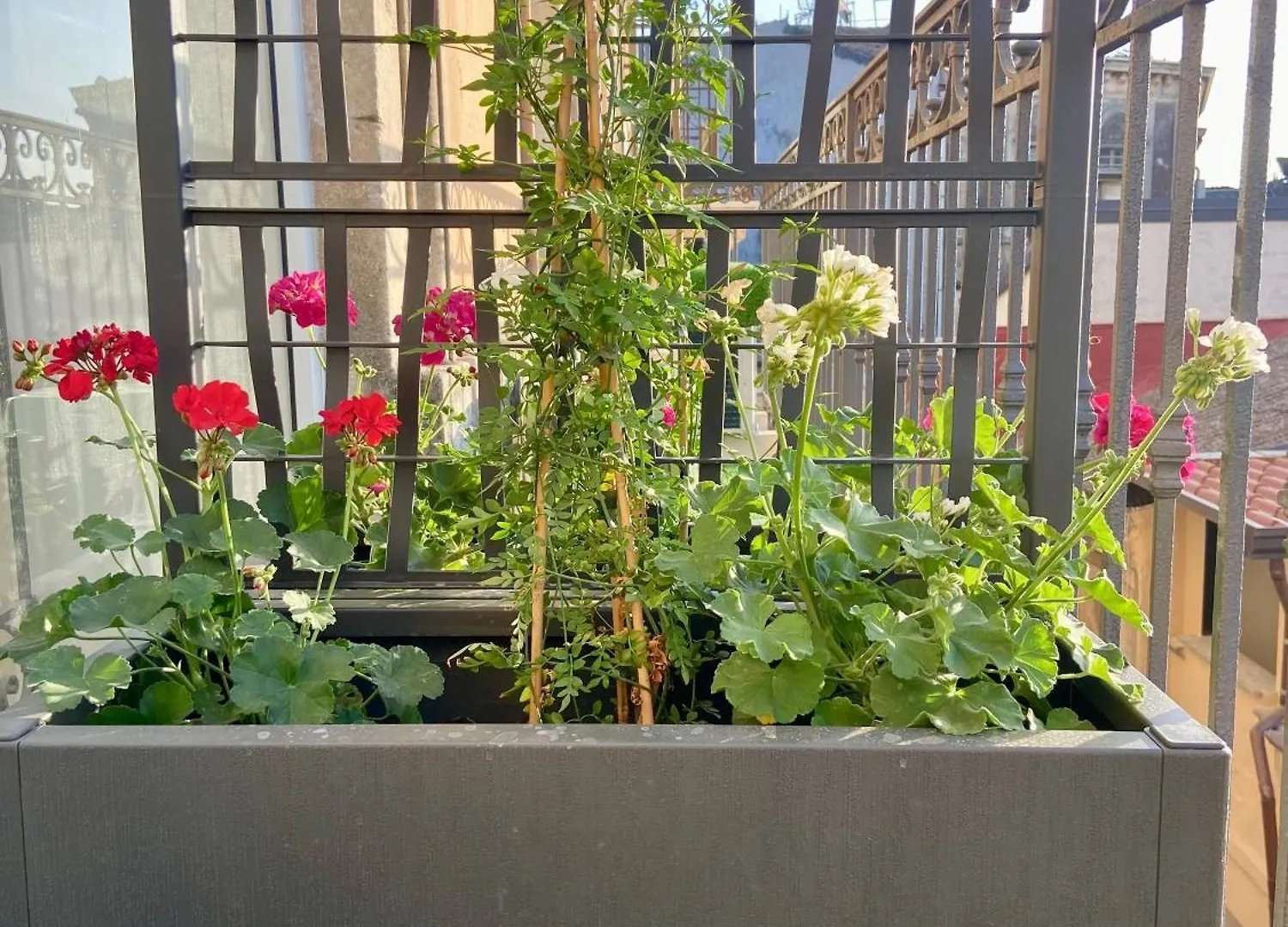Raisi Suites & Apartment Catania